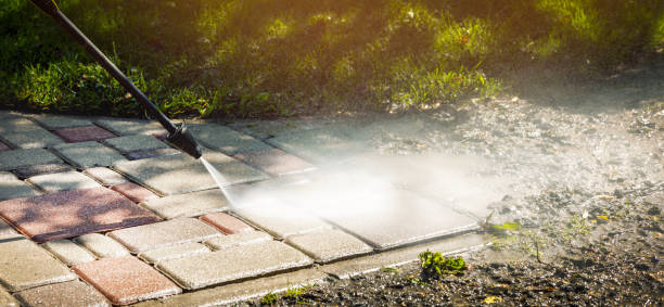 Best Fence Cleaning  in Winnebago, IL